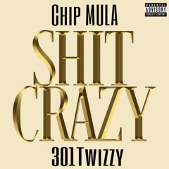 Shit Crazy Chip Mula x 301twizzy