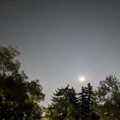 Going Against The WInd