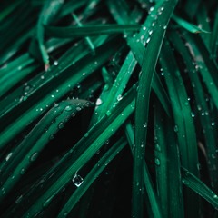 Socvetie (Original mix) [cut]