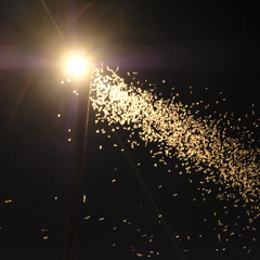 jamuary 18.01.2025