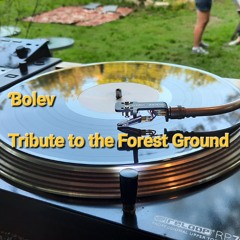 Bolev-Tribute to the Forest Ground