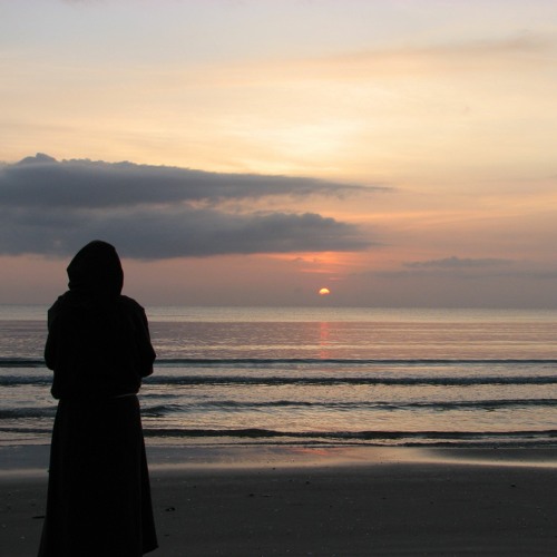 Sunrise Monk