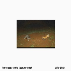 james cage white (Lost My Wife)