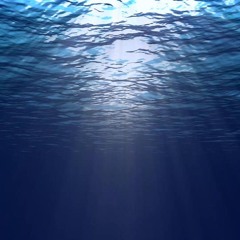 Rowing To The Bottom
