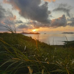 Sean Rii ~ Jealousy ♡