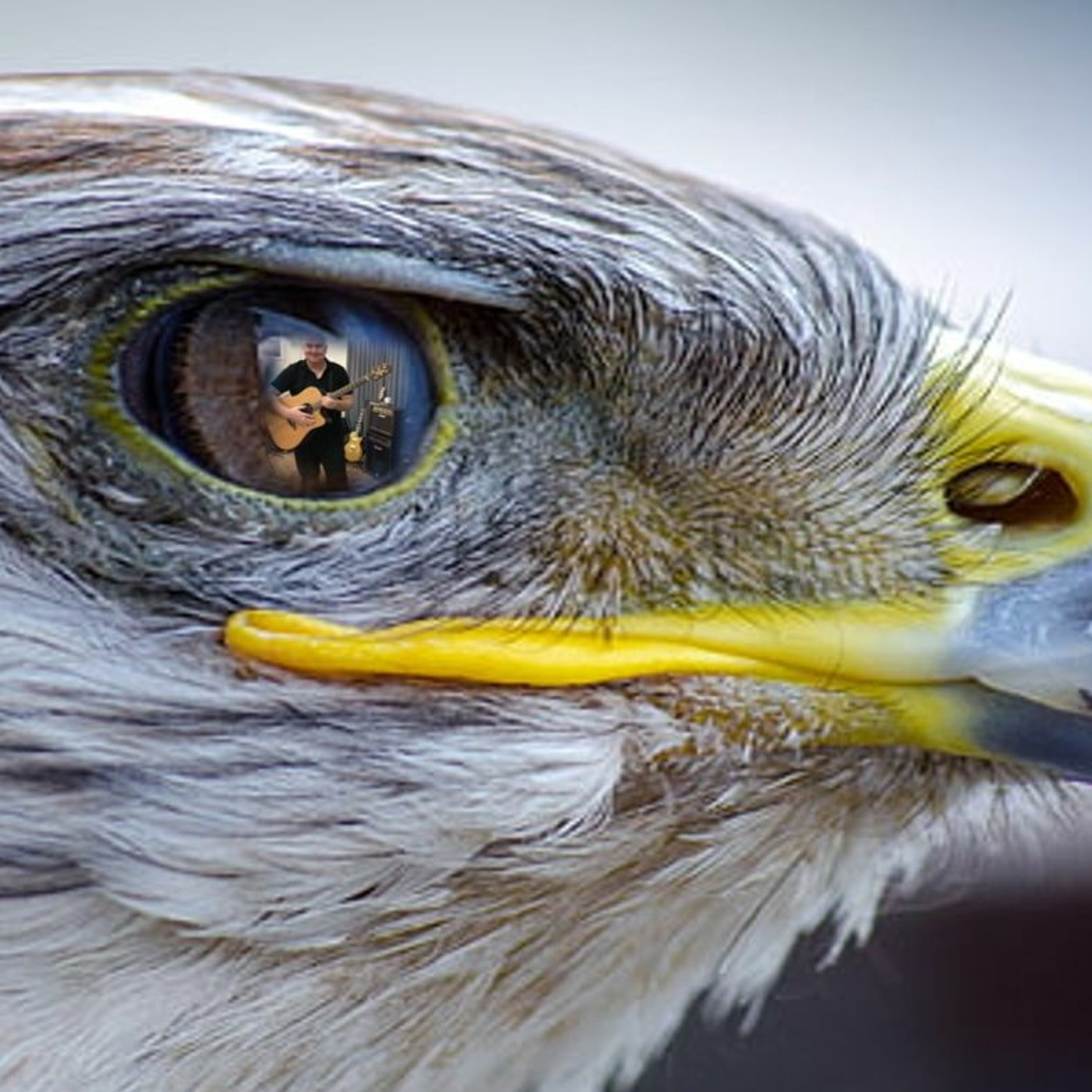The Eagle\'s Eye Podcast