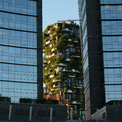 NETFLOW CORP.