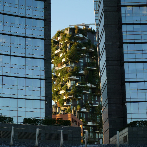 NETFLOW CORP.