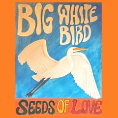 Big White Bird