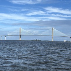 Song for animals.m4a