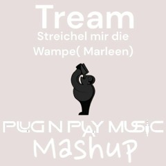 Tream - Streichel mir die Wampe Plug N Play Music Mashup