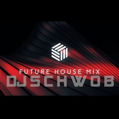 Future House DJ Mix by DJSchwob