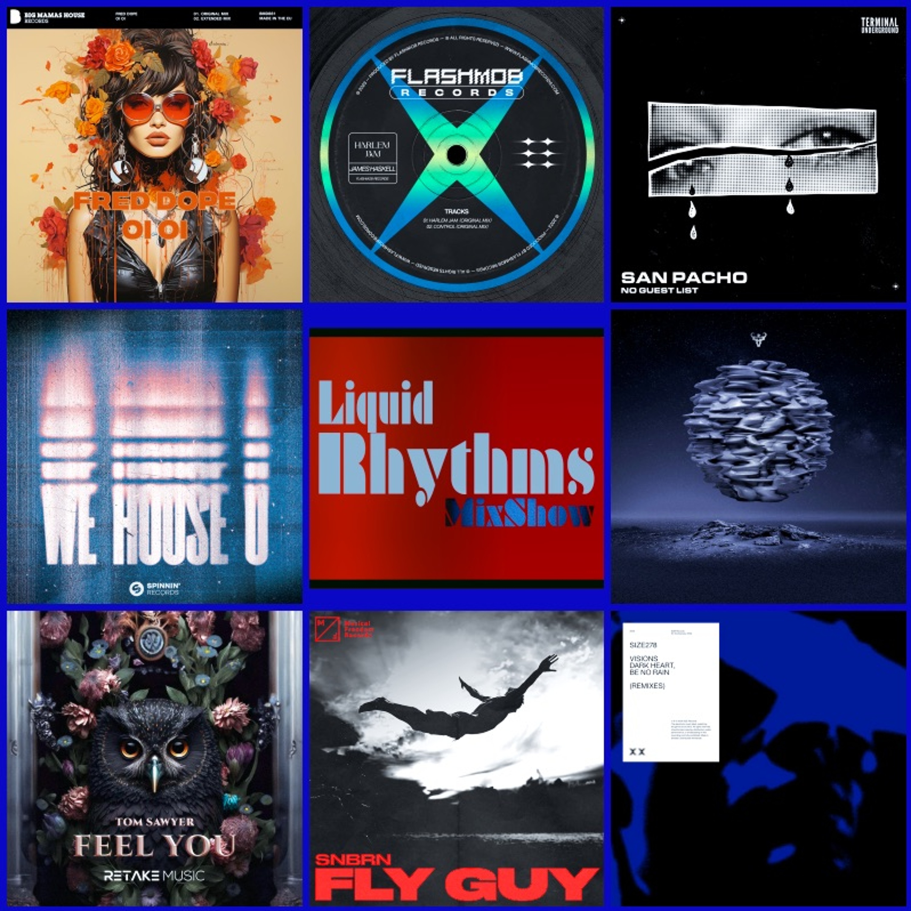 Liquid Rhythms Radio Podcast