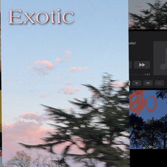 vin - exotic (prod.vin)