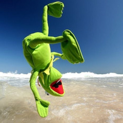 THE NUTCRACKER - BASSVI Mix