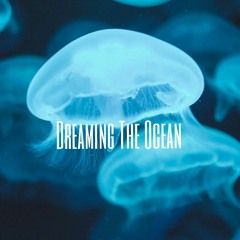Stels - Dreaming The Ocean (mixed 21.11.2020)