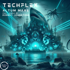 Altum Mare (Robert Johnstone Remix)