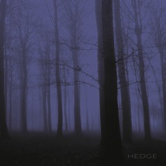 Hedge