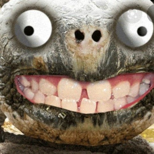 YOUR FIREFLY•BEN COCKS•GESTÖRT ABER GEIL REMIX