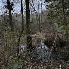 crustgarden/rivercaneoutro/ghoulwinter^geekwrldonline