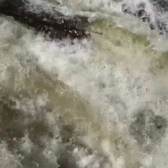 lime tree - bright eyes (cover)