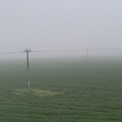 D3ATHCRVSH SEN (ft. NIKI)