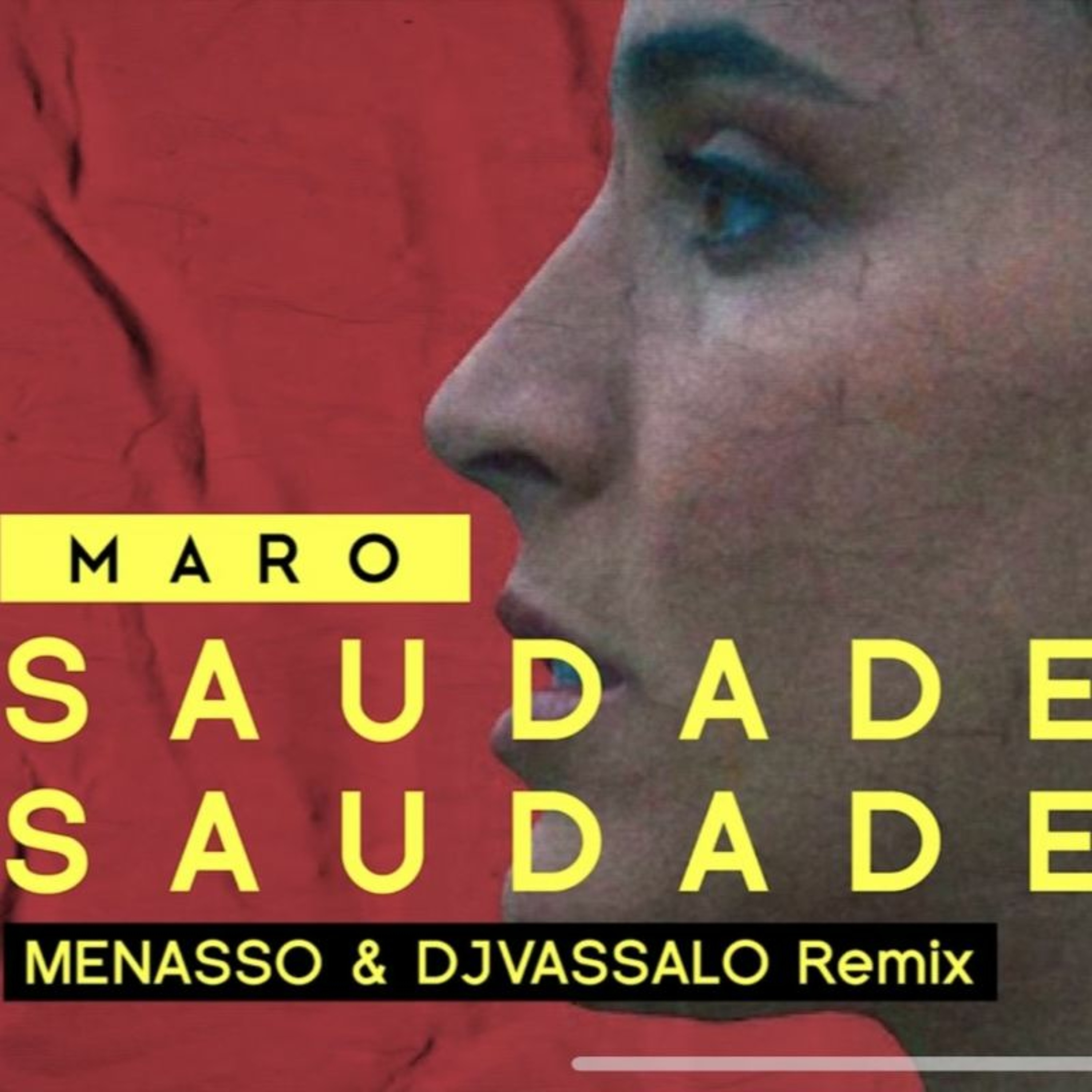 DjVassalo