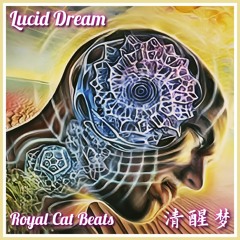 Lucid dream (清醒梦)