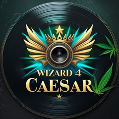 WIZARD4CAESAR I CAN
