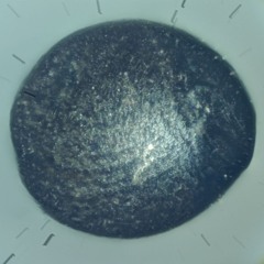 Ponder Tiny Robot - Micrometeorites