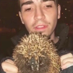 [LEAK] BADBOY BERLIN- relaps (Toxic Ost 2023)