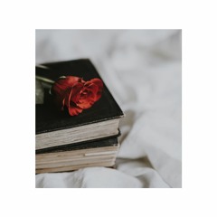 When I Saw You