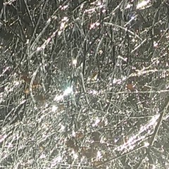 Stop Obsessing/Untrue