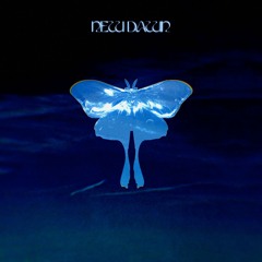 New Dawn