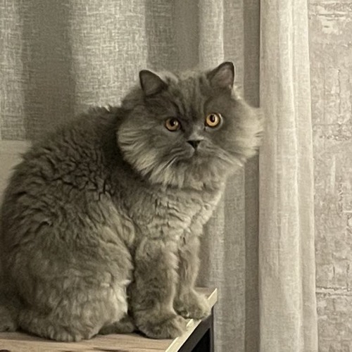 Escapism - Sebas Gana