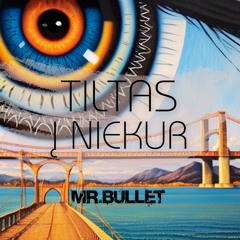 Tiltas į niekur