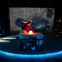 Sloth Snippets from Opera 'Beauty and the Seven Beasts'