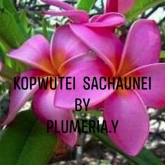 KOPWUTEI SACHAUNEI