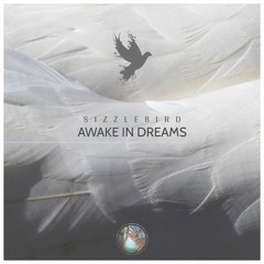 Awake In Dreams