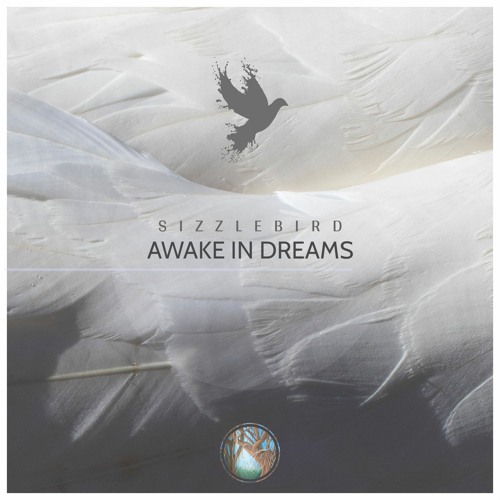 Awake In Dreams