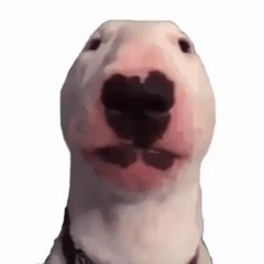ifuckedthisbitch (up)
