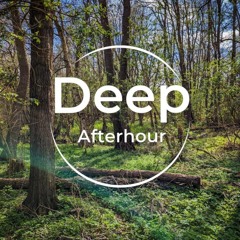 dj TripAdvisor - Deep Afterhour Nr. 381