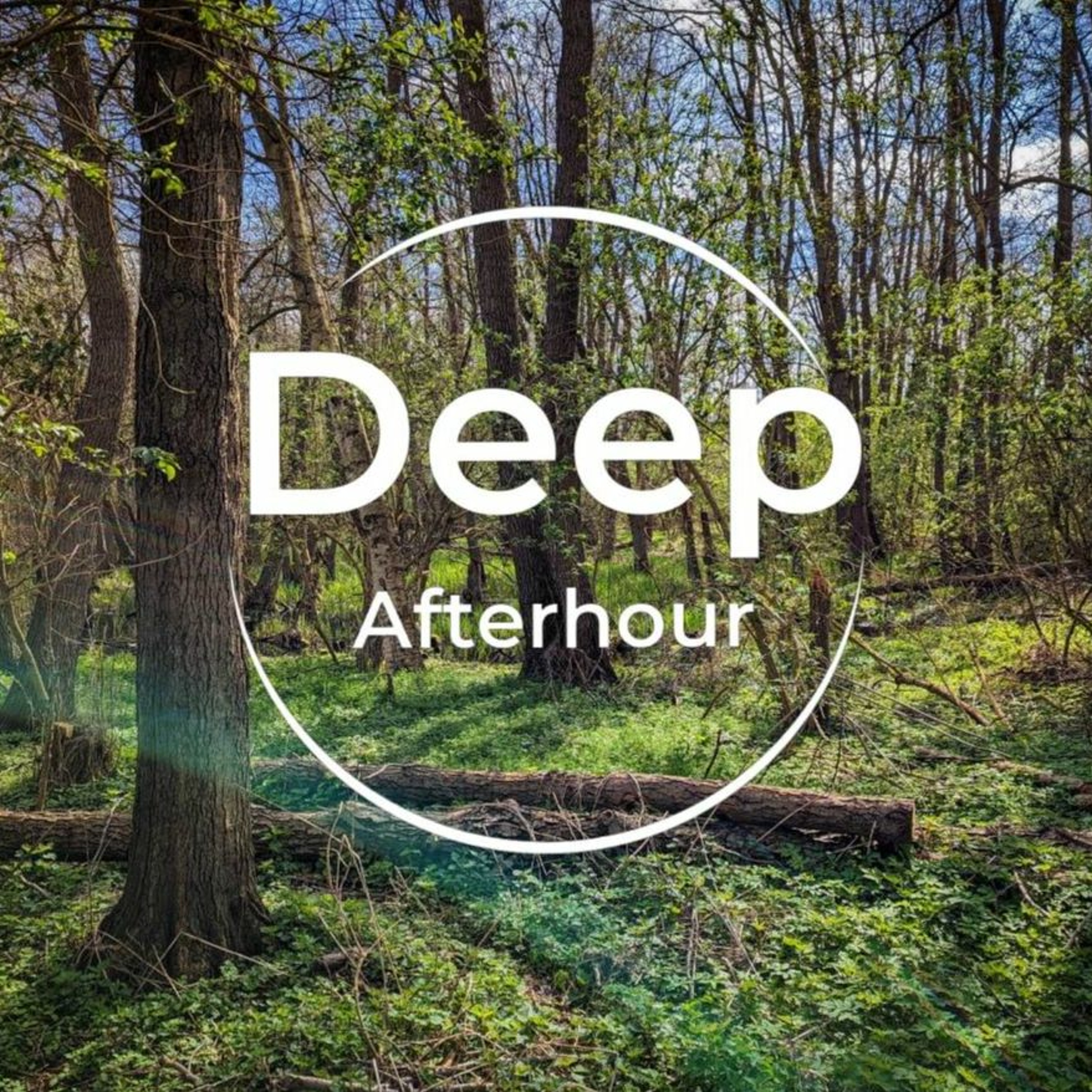 Deep Afterhour