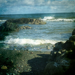 Theraphonia - Ocean vs Rocks at Point Michaud