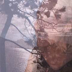 Breezy Moors - Between Dawn And Twilight