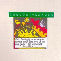 couldgiveafuck