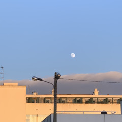 good grief - hayley williams