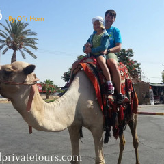 Discover the Best of the Holy Land with Private Israel Tours