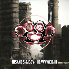 Insane S & DJV  - Heavyweight