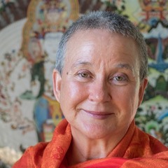 Seven Life Initiations For Human Transformation: And How To Reclaim Them, with Isa Gucciardi, PhD